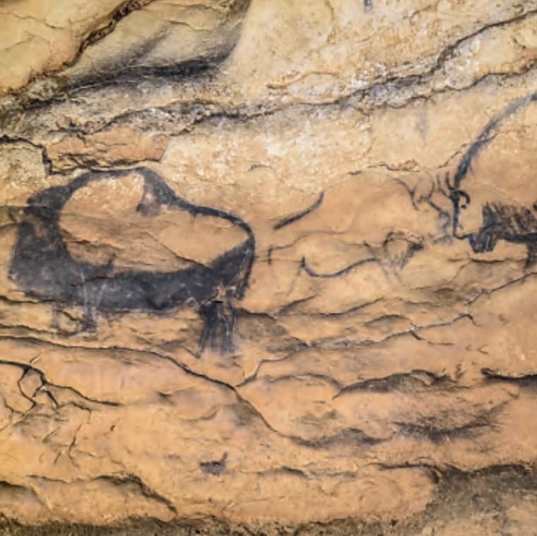 Présentation de l’ouvrage « La grotte ornée du Portel »