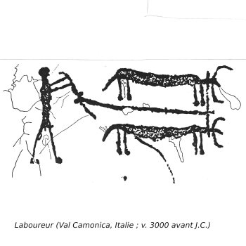 Laboureur (Val Camonica, Italie ; v. 3000 avant notre ère)